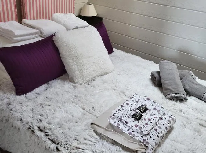 Confortable Pie Des Pistes Pyrenees 2000 *